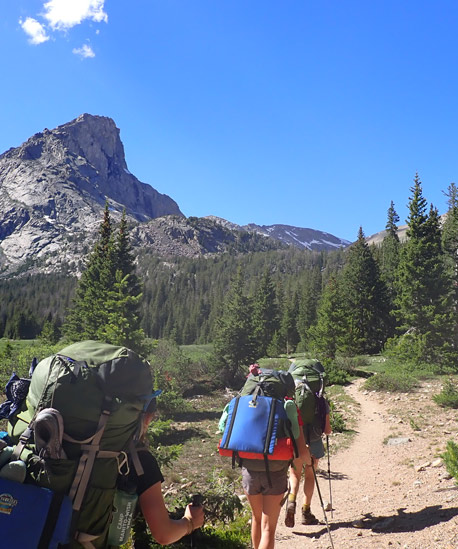 kids hiking on trail